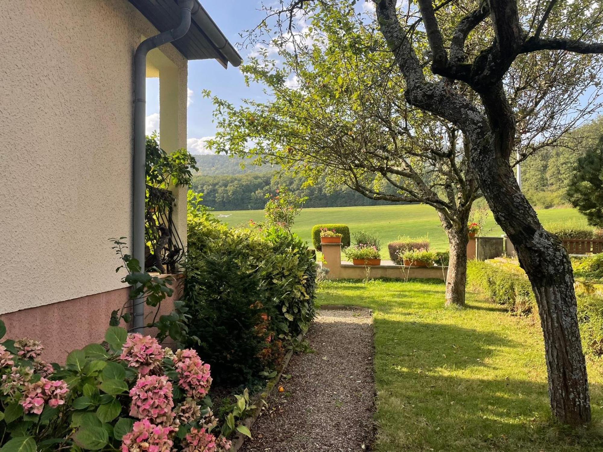 La Maison Des Roses Drachenbronn-Birlenbach Exteriör bild