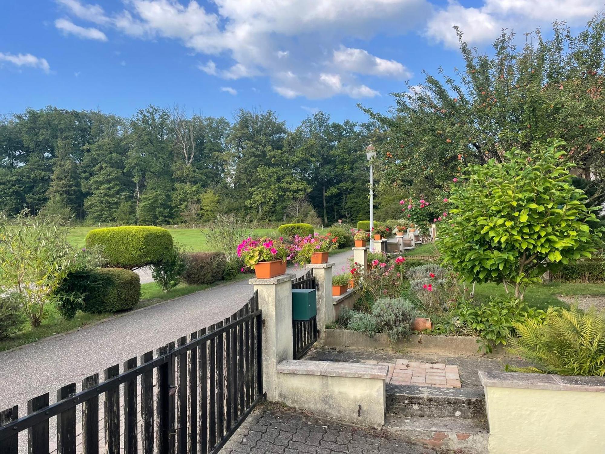La Maison Des Roses Drachenbronn-Birlenbach Exteriör bild