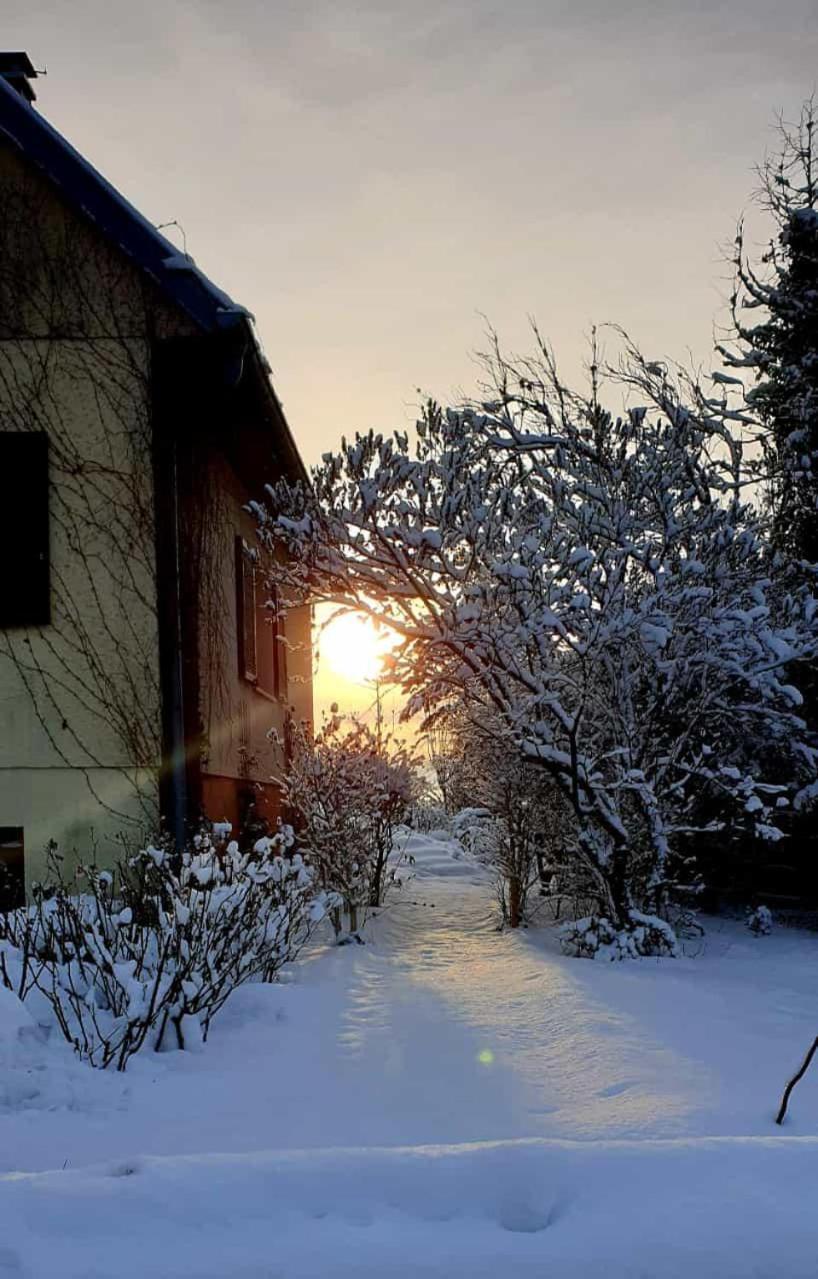 La Maison Des Roses Drachenbronn-Birlenbach Exteriör bild